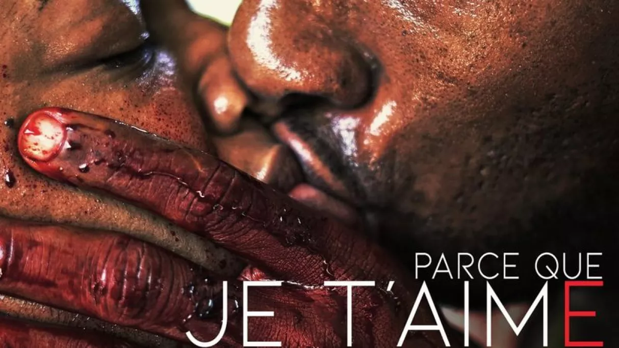 Parce que je t'aime | FranceTvPro.fr